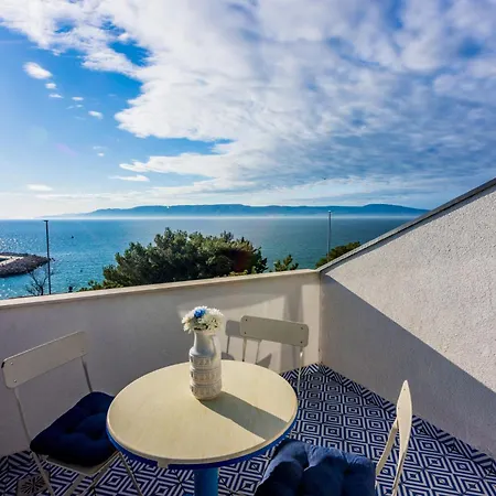 Zoricic * 노비비노돌스키