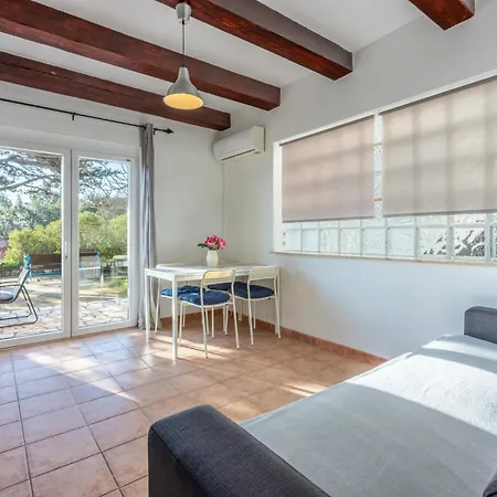 Zoricic 노비비노돌스키