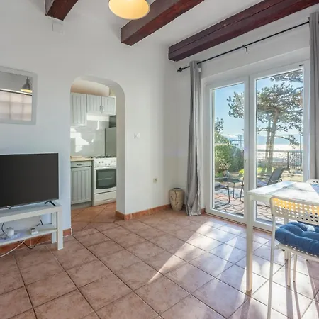 Zoricic * 노비비노돌스키